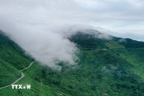 Hình ảnh độc đáo cảnh mây phủ đỉnh đèo Hải Vân ngày đầu Xuân 2022 