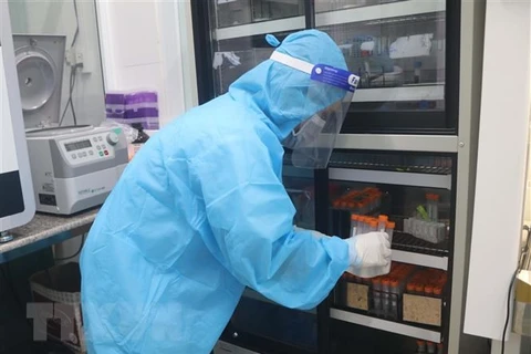 Kỹ thuật viên của Trung tâm Kiểm soát bệnh tật tỉnh Cao Bằng thực hiện bảo quản mẫu xét nghiệm SARS-CoV-2. (Ảnh: Chu Hiệu/TTXVN)