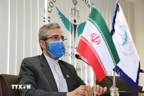 Trưởng đoàn đàm phán hạt nhân Iran Ali Bagheri Kani tại Tehran. (Ảnh: AFP/TTXVN)