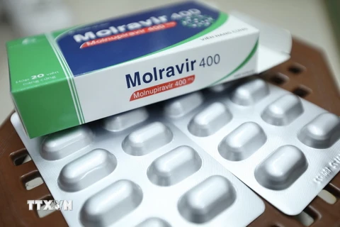 Thuốc điều trị COVID-19 chứa hoạt chất Monulpiravir chính hãng cho bệnh nhân F0 điều trị tại nhà. (Ảnh: Minh Quyết/TTXVN)
