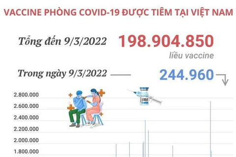Hơn 198,9 triệu liều vaccine phòng COVID-19 đã được tiêm tại Việt Nam