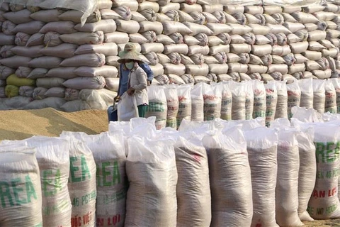 Xuất khẩu gạo Việt Nam sang Anh. (Ảnh: TTXVN)