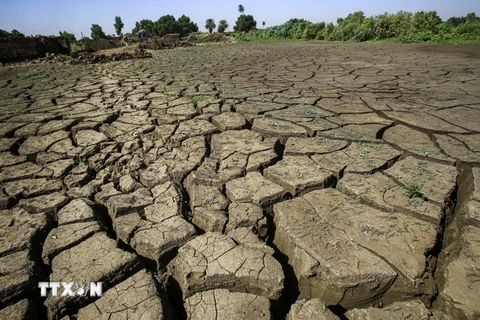 Một cánh đồng nứt nẻ vì khô hạn ở Jureif Gharb, Ethiopia. (Ảnh: AFP/TTXVN)