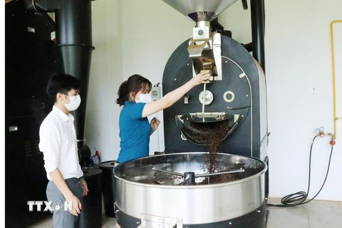 Dây chuyền sản xuất tại Công ty TNHH PM Coffee, thành phố Buôn Ma Thuột, Đắk Lắk. (Ảnh: Tuấn Anh/TTXVN)