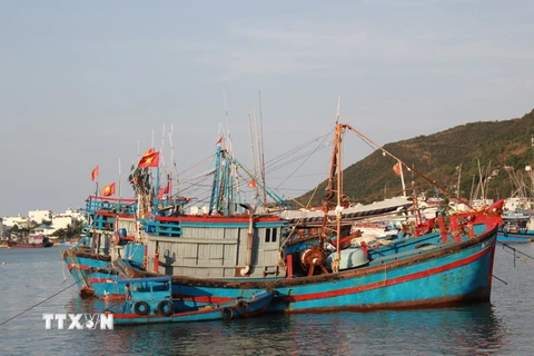 Tàu cá của tỉnh Khánh Hòa. (Ảnh: Phan Sáu/TTXVN)