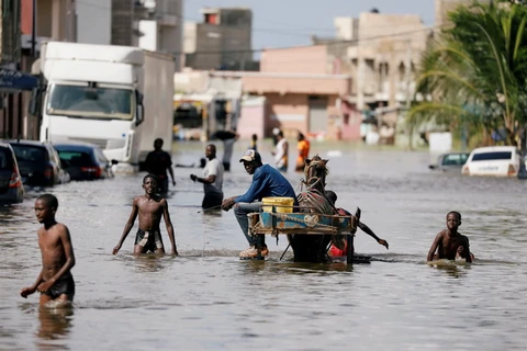Người dân đi qua một con phố ngập lụt sau trận mưa lớn ở Senegal. (Nguồn: chinadaily.com)