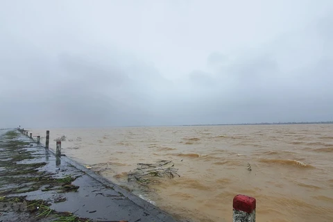 Cánh đồng lúa ở xã Hải Quế, huyện Hải Lăng, tỉnh Quảng Trị, bị nhấn chìm trong nước do mưa lớn. (Ảnh: Nguyên Lý/TTXVN)