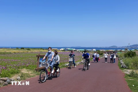 Ghé thăm hòn đảo độc đáo "không khí thải carbon” Gapado ở Jeju