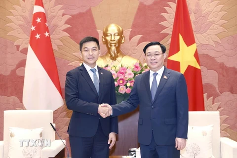 Chủ tịch Quốc hội Vương Đình Huệ và Chủ tịch Quốc hội Singapore Tan Chuan-Jin chụp ảnh chung. (Ảnh: Doãn Tấn/TTXVN)