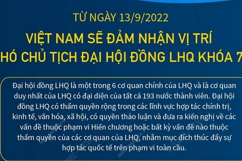Từ 13/9, Việt Nam sẽ đảm nhận vị trí Phó Chủ tịch Đại hội đồng LHQ