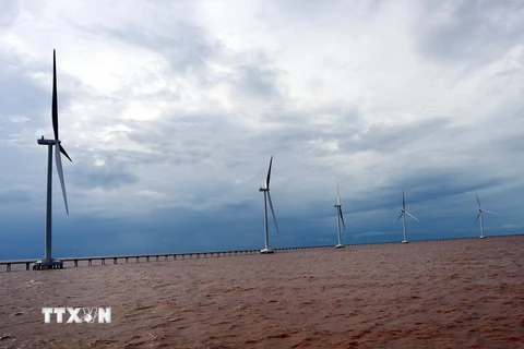 Nhiều trụ điện gió được lắp đặt hoàn thành đi vào hoạt động tại vùng ven biển Sóc Trăng. (Ảnh: Trung Hiếu/TTXVN)