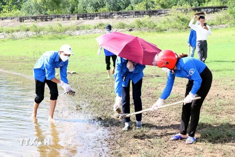 Lực lượng đoàn viên, thanh niên xã Thường Nga tập trung thu gom cá chết đem chôn lấp. (Ảnh: Công Tường/TTXVN)