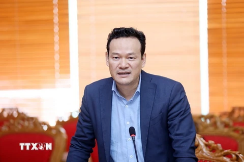 Phó Chủ nhiệm Ủy ban Nhà nước về người Việt Nam ở nước ngoài Mai Phan Dũng. (Ảnh: Anh Tuấn/TTXVN)