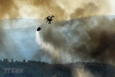 Trực thăng cứu hỏa phun nước dập đám cháy rừng. (Ảnh: AFP/TTXVN)