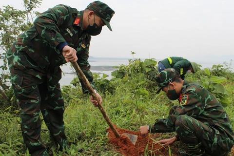 Cán bộ, chiến sỹ lực lượng Vũ trang thành phố Móng Cái trồng cây giổi trên địa bàn xã Vạn Ninh. (Nguồn: baoquangninh.com.vn)