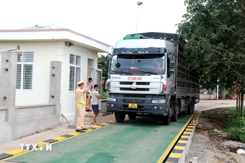 Lực lượng Cảnh sát giao thông, Công an tỉnh Gia Lai ra quân quyết liệt xử lý các trường hợp chở quá khổ, quá tải. (Ảnh: Quang Thái/TTXVN)