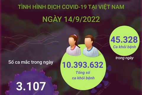 [Infographics] Ngày 14/9: Có 3.107 ca mắc mới COVID-19 