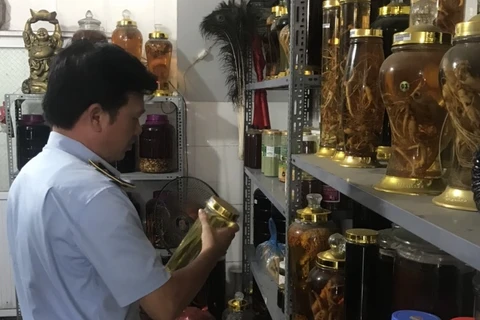Đội Quản lý thị trường số 1 kiểm tra việc kinh doanh rượu tự nấu. (Ảnh: PV/Vietnam+)