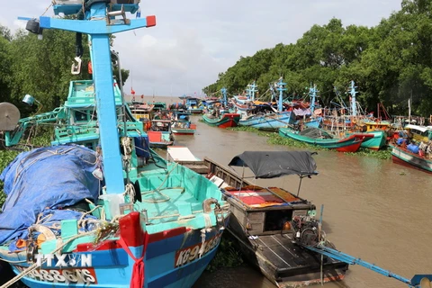 Tàu cá của ngư dân neo đậu tránh trú bão số 4 tại kênh cống số 3 trên địa bàn xã Mỹ Lâm, huyện Hòn Đất, tỉnh Kiên Giang. (Ảnh: Lê Huy Hải/TTXVN)