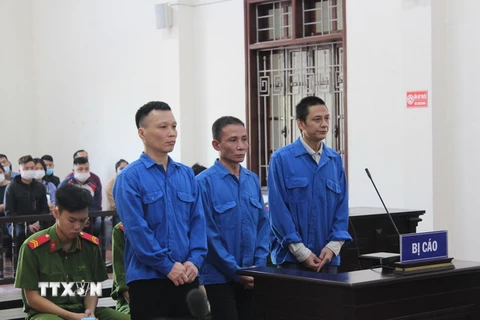 Ba bị cáo Vì Văn Hồng, Nguyễn Hoàng Tiến và Phạm Hà Phương tại phiên tòa xét xử. (Ảnh: Vũ Hà/TTXVN)