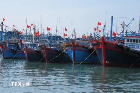 Tàu cá của ngư dân vào nơi neo đậu, tránh trú an toàn. (Ảnh: Nguyễn Thành/TTXVN)