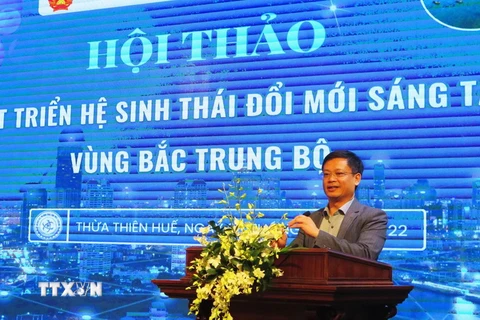 Phó Chủ tịch Thường trực UBND tỉnh Thừa Thiên-Huế Nguyễn Thanh Bình phát biểu tại hội thảo. (Ảnh: Tường Vi/TTXVN)