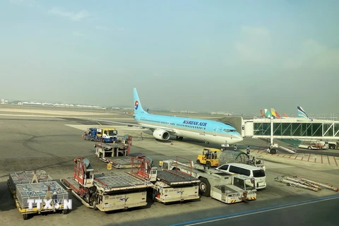 Máy bay của hãng hàng không Korean Air đang đón khách tại sân bay Quốc tế Gimpo. (Ảnh: Anh Nguyên/TTXVN)