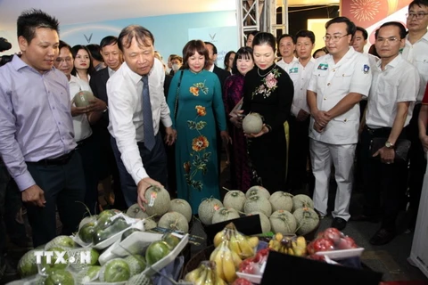 Thứ trưởng Bộ Công Thương Đỗ Thắng Hải phát biểu tại lễ khai mạc. (Ảnh: Trần Việt/TTXVN)