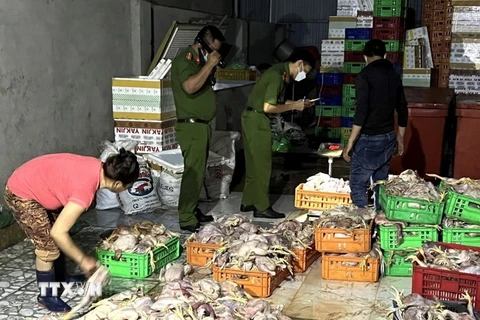 Hiện trường cơ sở giết mổ mổ “gà chết” tại tổ 43, khu phố 4C, phường Trảng Dài, thành phố Biên Hoà, tỉnh Đồng Nai. (Ảnh: TTXVN phát)