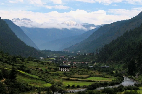 Bhutan là đất nước có nhiều rừng - nơi hấp thụ nhiều CO2 hơn là thải ra. (Nguồn: CNN)