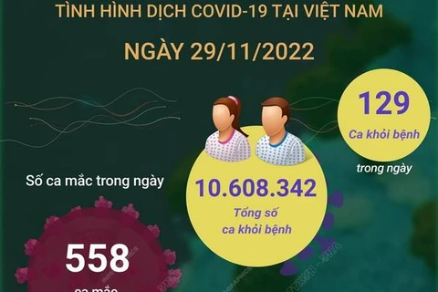 [Infographics] Tình hình dịch COVID-19 tại Việt Nam ngày 29/11