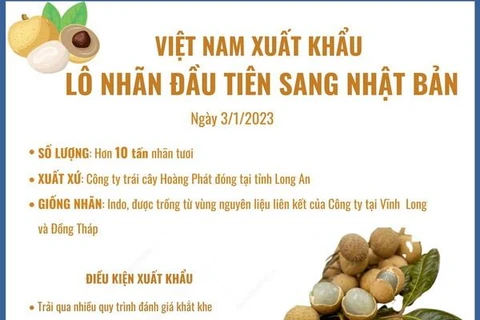 [Infographics] Việt Nam xuất khẩu lô nhãn đầu tiên sang Nhật Bản