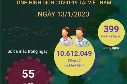 [Infographics] Cập nhật tình hình dịch COVID-19 ở Việt Nam ngày 13/1