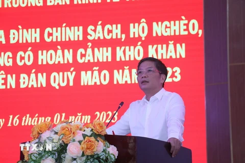 Ông Trần Tuấn Anh phát biểu tại buổi trao quà Tết. (Ảnh: Huỳnh Phúc Hậu/TTXVN)