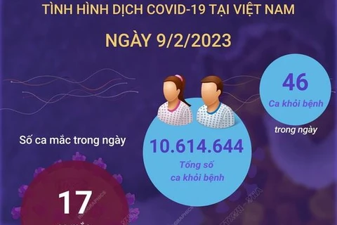 [Infographics] Cập nhật tình hình dịch COVID-19 ở Việt Nam ngày 9/2