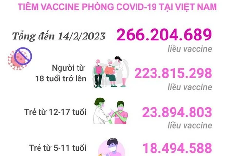 [Infographics] Tình hình tiêm vaccine phòng COVID-19 tại Việt Nam 