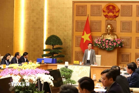 Phó Thủ tướng Trần Lưu Quang phát biểu chỉ đạo tại cuộc họp của Hội đồng. (Ảnh: An Đăng/TTXVN)