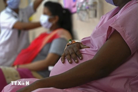Phụ nữ mang thai. ( Ảnh: AFP/TTXVN)