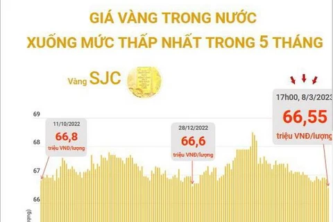 [Infographics] Giá vàng trong nước xuống mức thấp nhất trong 5 tháng