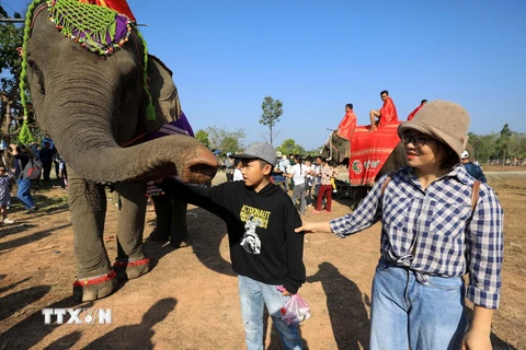 [Photo] Đắk Lắk: Du lịch thân thiện cùng voi - Bảo tồn để phát triển 