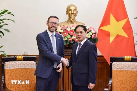 Bộ trưởng Ngoại giao Bùi Thanh Sơn và Đại sứ Liên hiệp Vương quốc Anh và Bắc Ireland tại Việt Nam. (Ảnh: TTXVN phát)