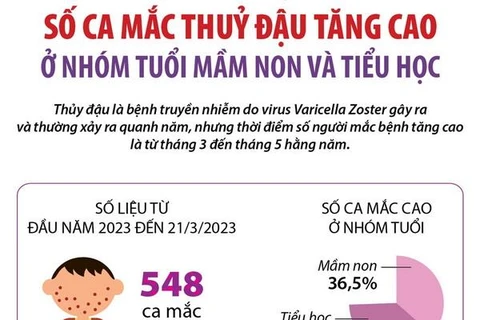 Hà Nội: Số ca mắc thủy đậu tăng cao ở nhóm tuổi mầm non và tiểu học