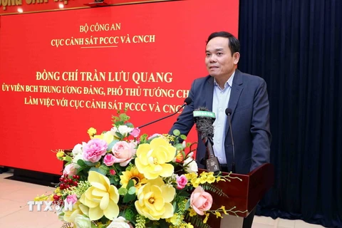 Phó Thủ tướng Trần Lưu Quang phát biểu. (Ảnh: Phạm Kiên/TTXVN)