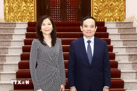 Phó Thủ tướng Trần Lưu Quang tiếp Điều phối viên thường trú Liên hợp quốc Pauline Tamesis. (Ảnh: Lâm Khánh/TTXVN)