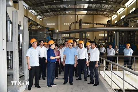 Phó Thủ tướng Lê Minh Khái và lãnh đạo các Bộ, ngành khảo sát Dự án Nhà máy bộ giấy Phương Nam tại xã Thuận Nghĩa Hòa, huyện Thạnh Hóa. (Ảnh: TTXVN)
