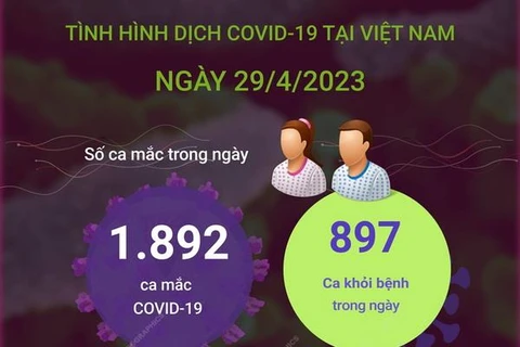 [Infographics] Cập nhật tình hình dịch COVID-19 ở Việt Nam ngày 29/4