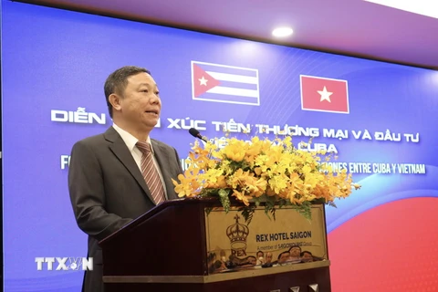 Ông Dương Anh Đức, Phó Chủ tịch UBND TP Hồ Chí Minh, phát biểu tại Diễn đàn. (Ảnh: Xuân Anh/TTXVN)
