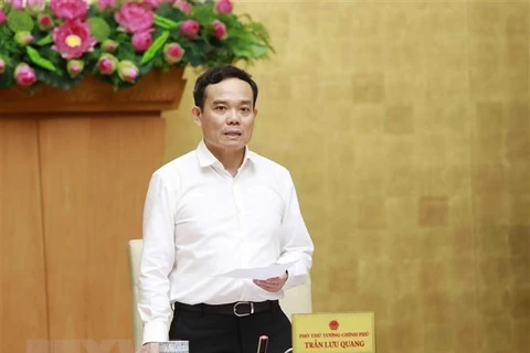 Phó Thủ tướng Chính phủ Trần Lưu Quang. (Ảnh: An Đăng/TTXVN)