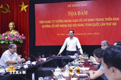 Bộ trưởng Bộ Ngoại giao Bùi Thanh Sơn phát biểu. (Ảnh: Lâm Khánh/TTXVN)