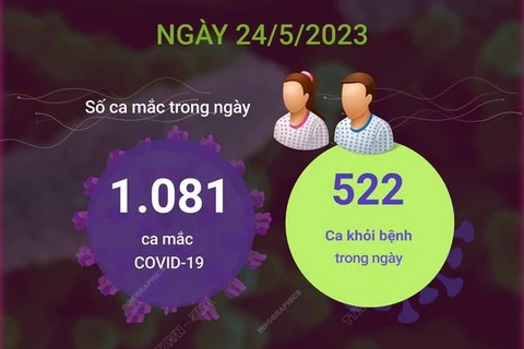[Infographics] Cập nhật tình hình dịch COVID-19 ở Việt Nam ngày 24/5